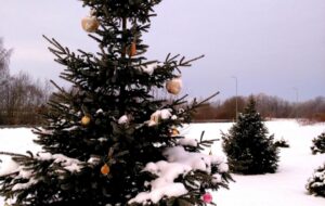 “POŠAM VISU GREZNĀ ROTĀ”