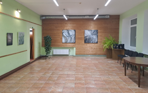 Ilzes Elizabetes Romančenko gleznu izstāde