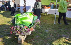 Dalība Hercoga Jēkaba Gadatirkū