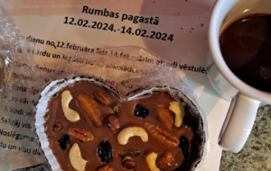 spēle ģimenei “Tev pienācis pasts”